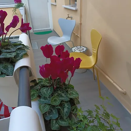 Bed and Breakfast Ecocentrico
