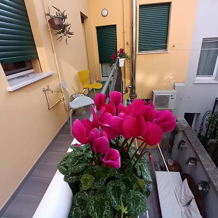 Ecocentrico